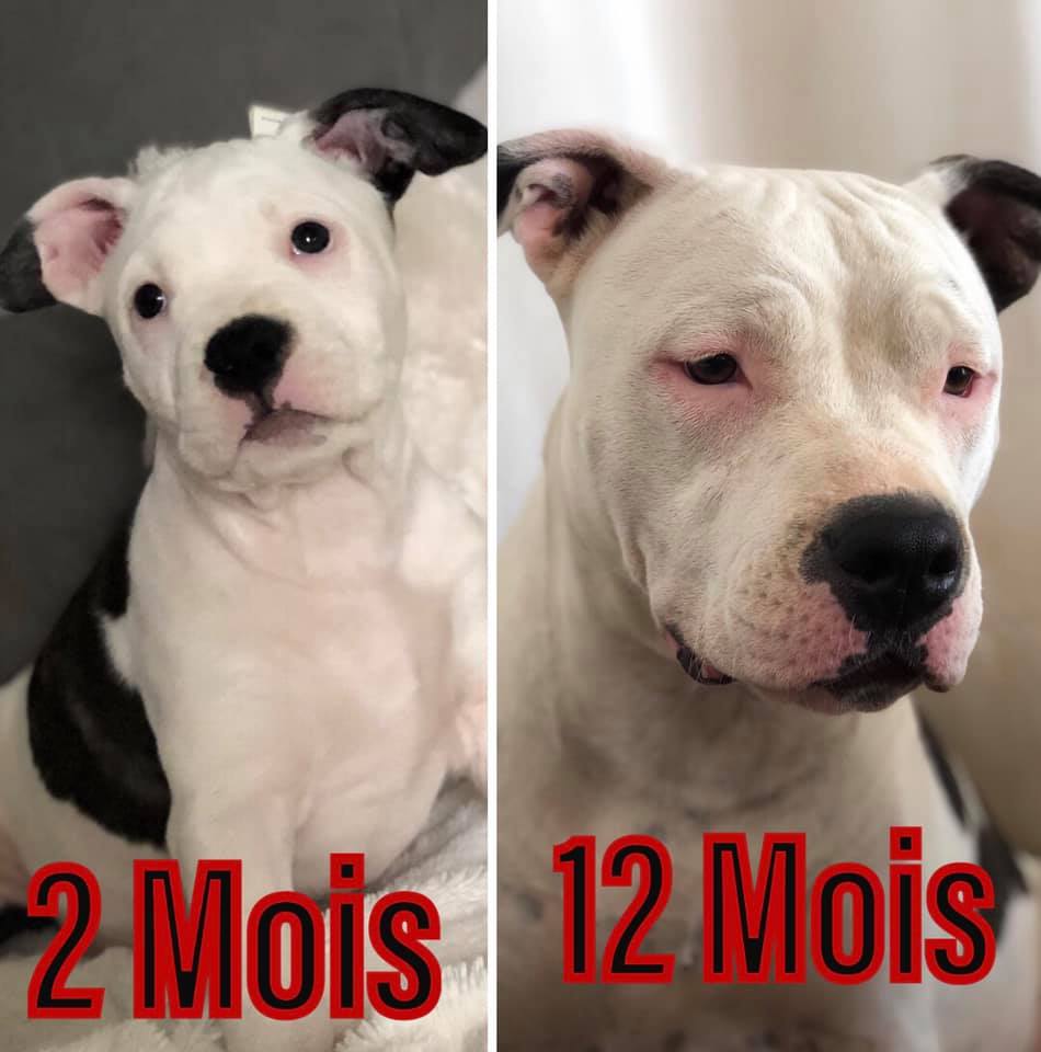 Olympe Du Domaine De Némésis